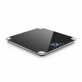 NestFit Smart Body Weight Scale